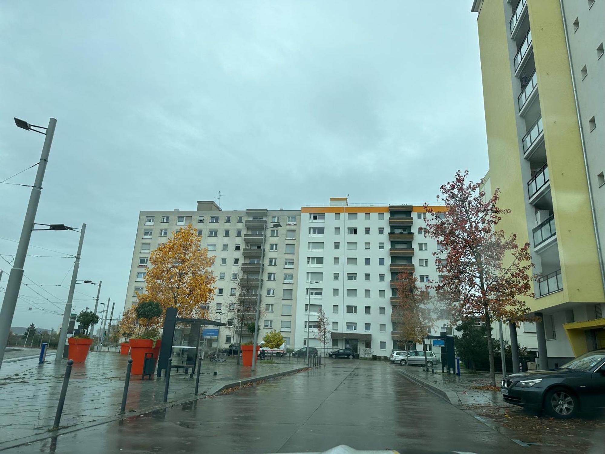 Magnifique Studio Avec Netflix Сен-Луи Экстерьер фото